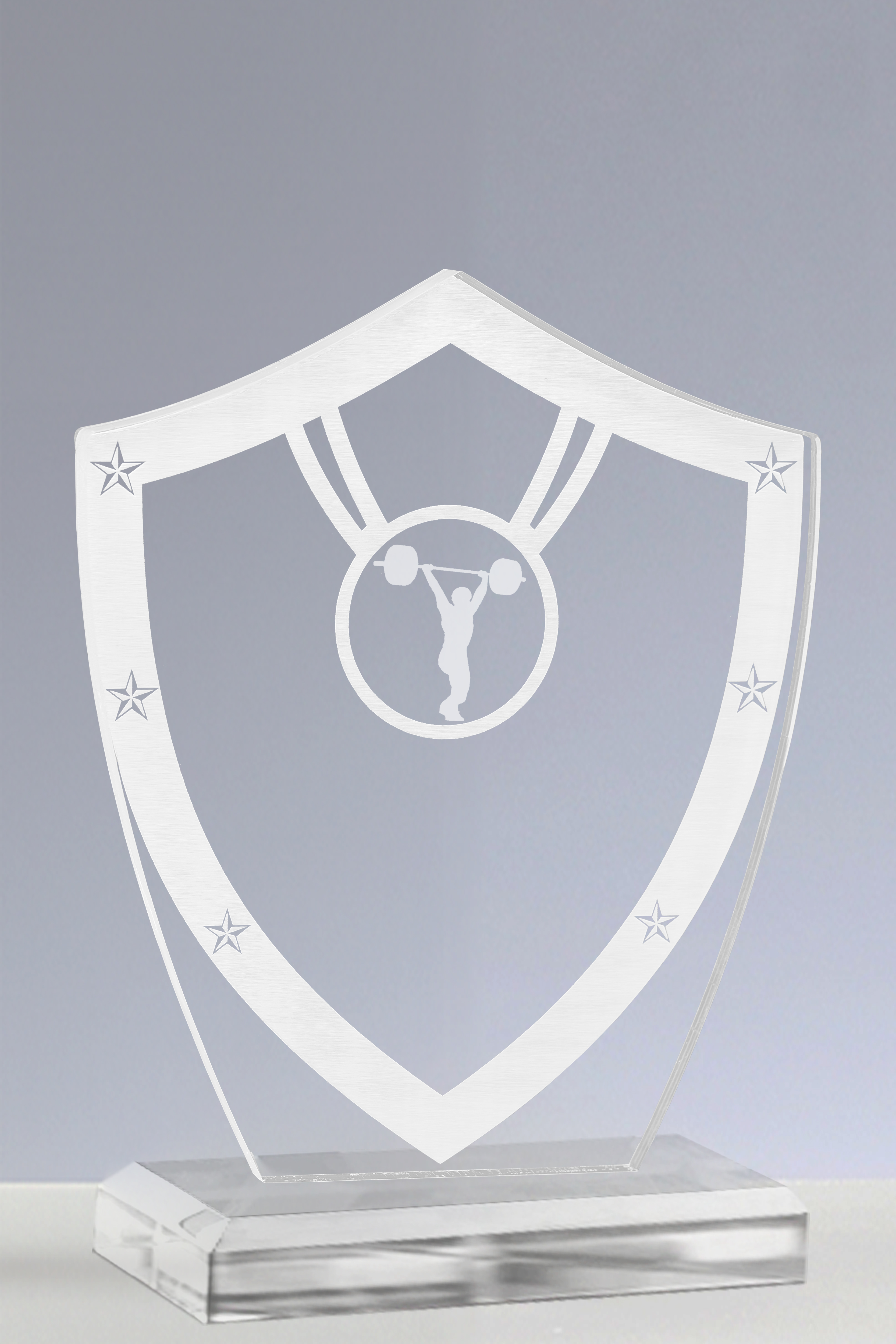 Trofee Creatie PSW 123